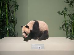 -深圳博物馆