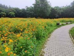 -东郊湿地公园