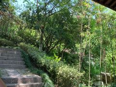 -杭州半山国家森林公园