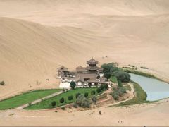 -许记驴肉黄面胡杨焖饼