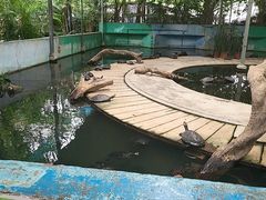 -广州长隆飞鸟乐园