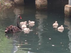 -长白岛森林公园