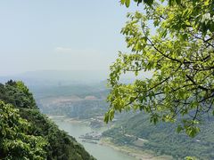 -铁山坪森林公园