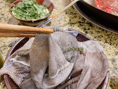 水牛毛肚-重庆下半城老火锅(糖酒公司店)