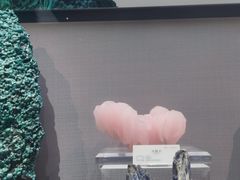 -湖南省地质博物馆