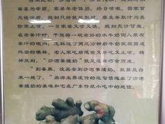 -沙湾姜撞奶甜品店(昌岗中路店)