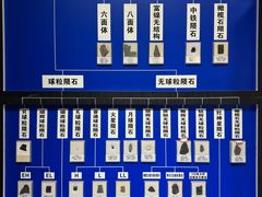 -志强陨石馆(双季花艺店)