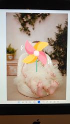 -小熊维尼高端儿童摄影(宝安旗舰店)