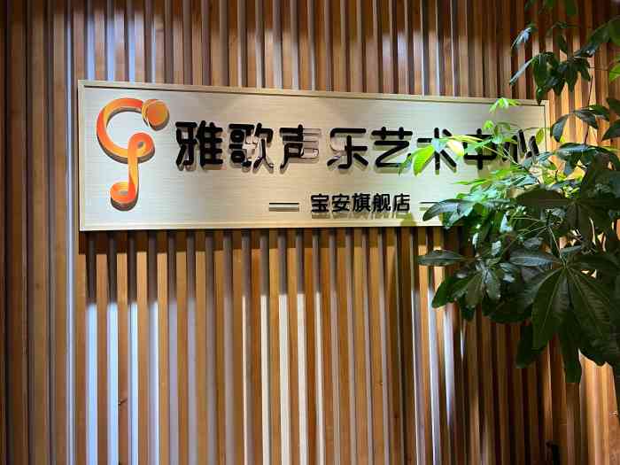宝安中心区 音乐06185/人雅歌声乐成人歌唱艺术中心