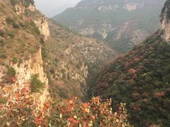 -黄花溪