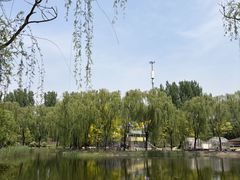 -圣露庄园·露营·烤肉·亲子