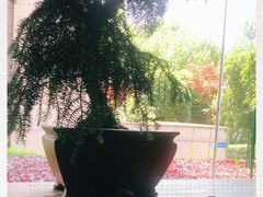 -湖滨28中餐厅·西湖宴·杭州君悦酒店