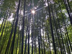 -苏州环秀晓筑养生度假村
