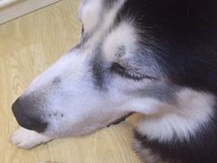 -富瑶大酒店(强工二街店)