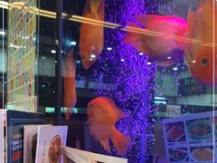 -新辉港式茶餐厅(北栅店)