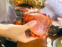 -武汉光谷K11