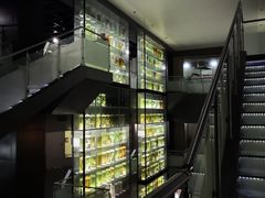 -广东中医药博物馆