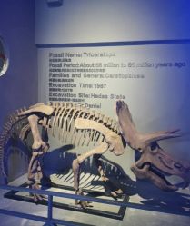 -恐龙探索乐园(磁器口店)