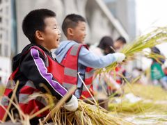-证大喜玛拉雅中心