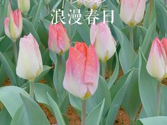 -凤凰沟景区