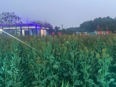 -洪湖家庭农场·团建·露营·会议