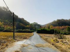 -塔川景区