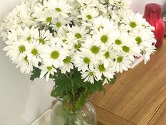 -不错NOTBAD咖啡馆