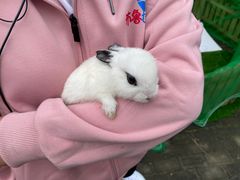 -布鲁豪斯亲子欢乐家庭餐厅