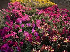 -瓦库茶馆17号(海汇港店)