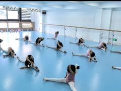 -西安小天鹅艺术团(曲江Alice店)