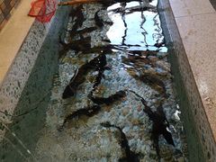 -荣德灶台鱼(圣泉寺店)