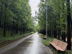 -上海长兴岛郊野公园