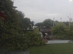 -慢丽江·云南野生菌土鸡锅(付家庄店)