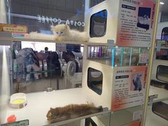 -万达影城(江桥万达广场IMAX店)
