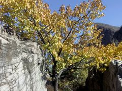 android_upload_pic-乌龙峡谷景区