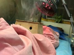 -手功夫·月明中医诊所·正骨推拿艾灸