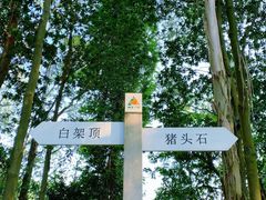 -火炉山森林公园