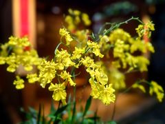 -31号公馆(黄兴广场白果园店)