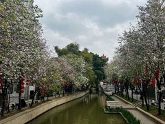 -荔湾湖公园