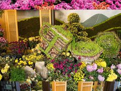 -杭州植物园