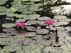 -国家植物园南园