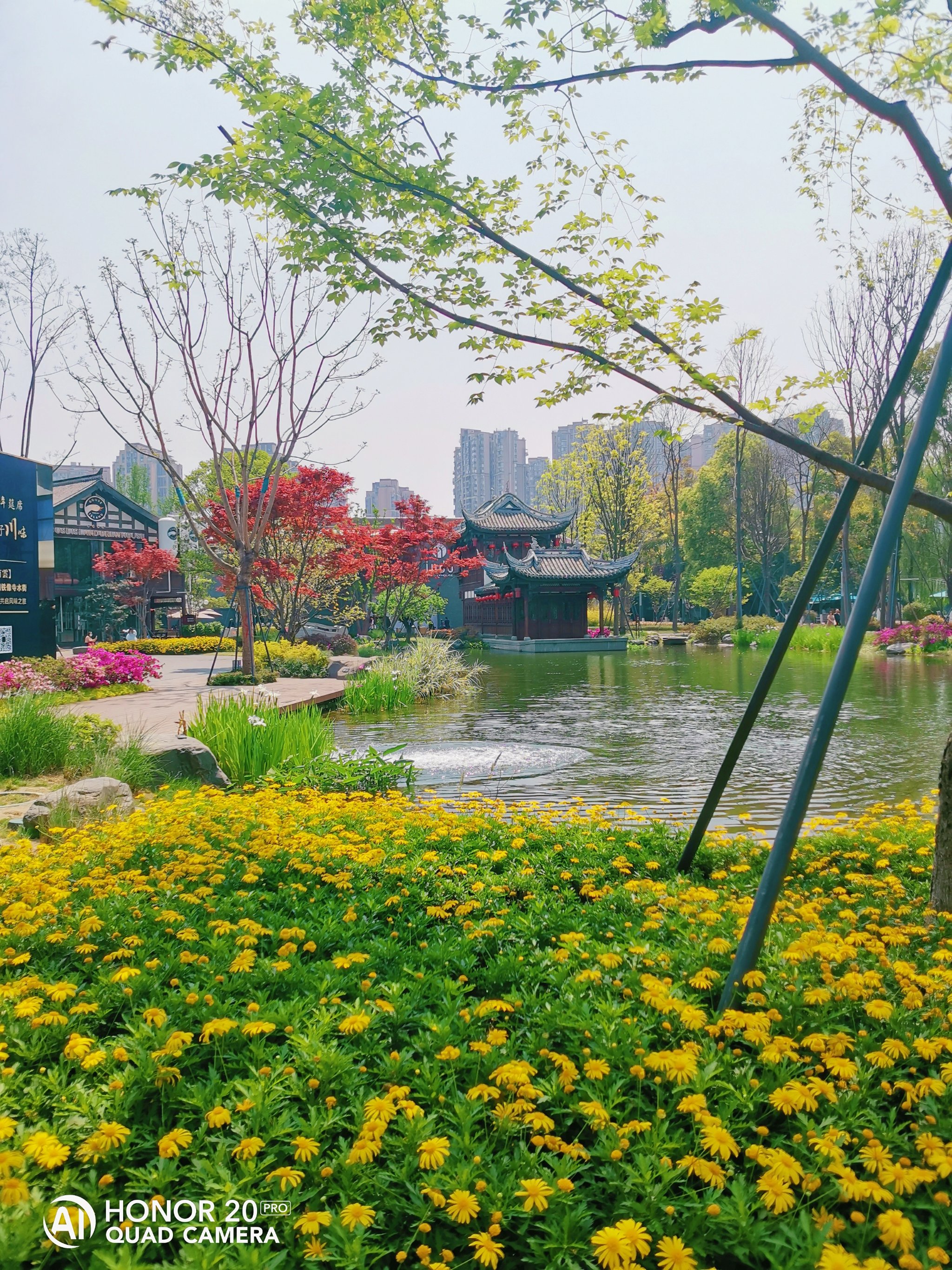 铁像寺水街喝茶的地方图片