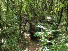 -亲兄弟真人CS团建拓展基地