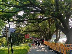 -江心屿景区