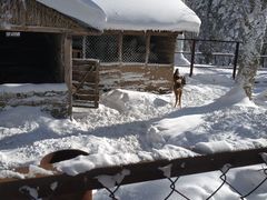 -亚布力新体委滑雪场