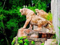 -杭州半山国家森林公园