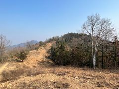 -素山寺森林公园