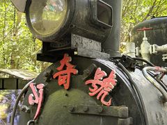 -五营红松林海景区