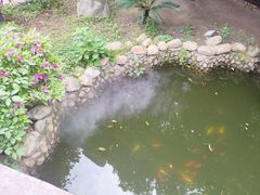 -柴米油盐(土菜院子店)