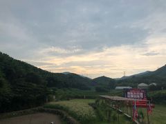 -宁波浙东大竹海景区